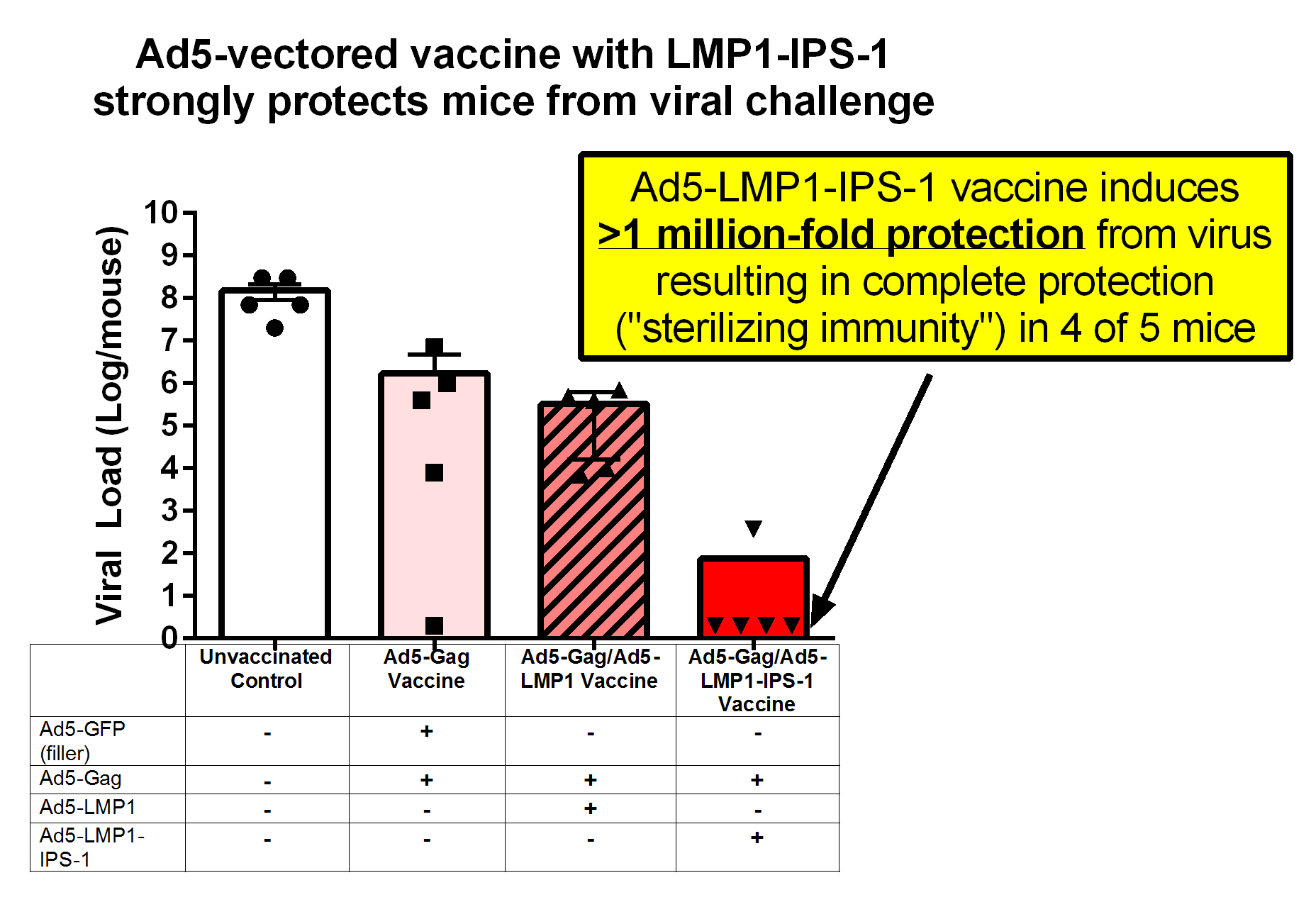 LMP-IPS-1 vaccination gives powerful protection from virus challenge